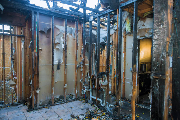 Professional Fire Damage Restoration technician working in Cologne, MN